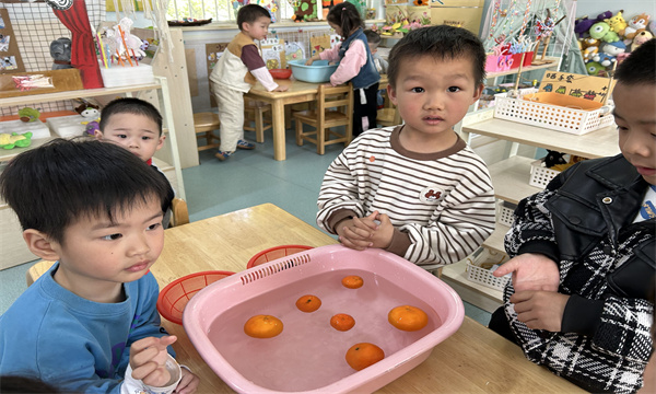 QQ图片20250408155447.jpg
