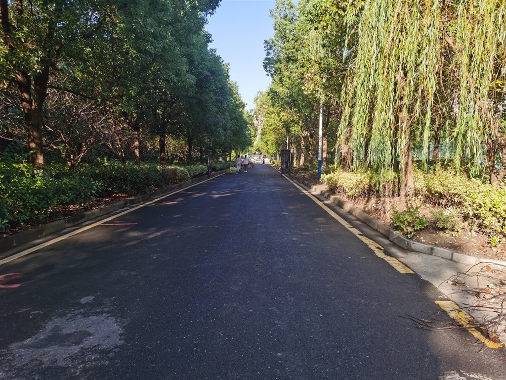 干净的路面1.jpg
