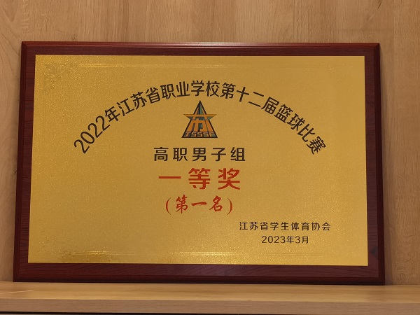 1 省冠军奖牌.png