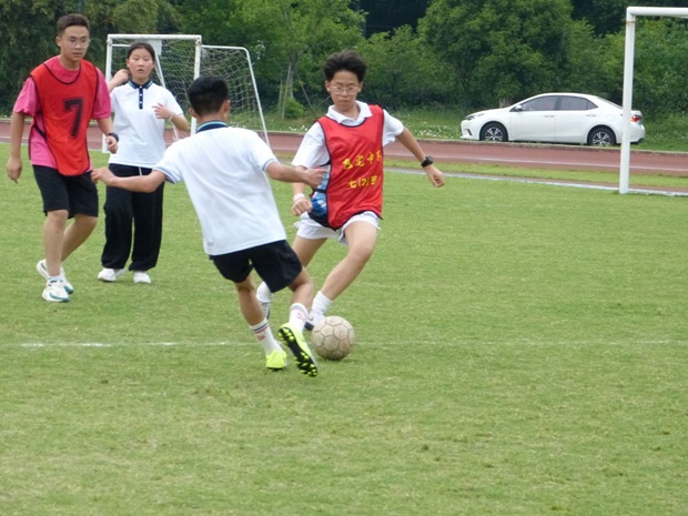 Image_1749515783784.jpg
