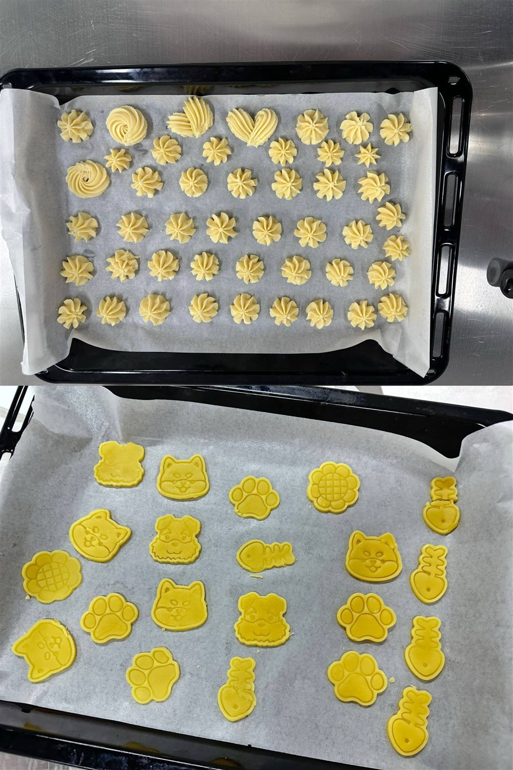 授课作品.JPG