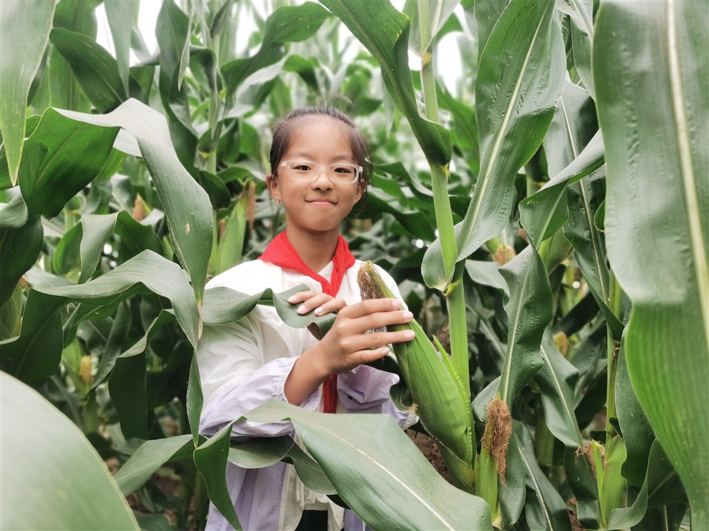 微信图片_20250624134441.jpg