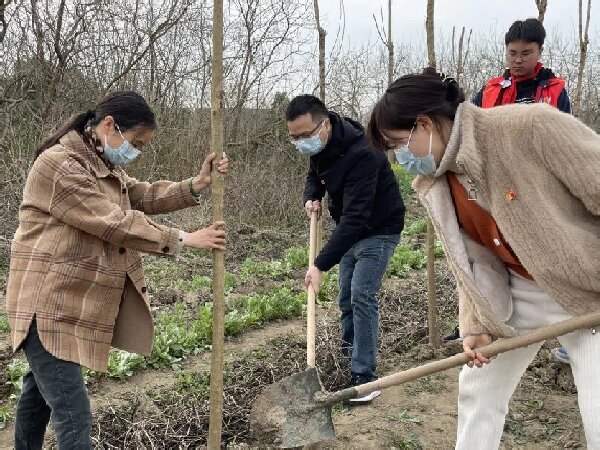 党员植树2.jpg 党员植树2.jpg