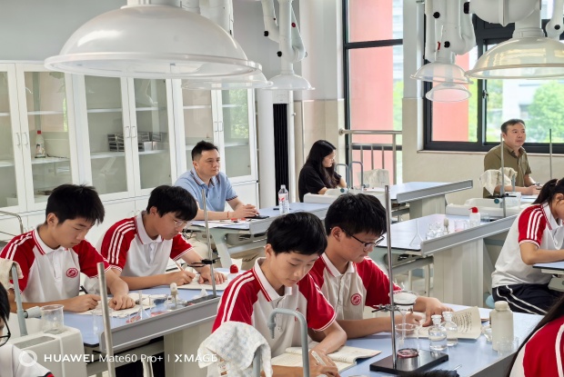 IMG_20250923_093236_副本.jpg IMG_20250923_093236_副本.jpg