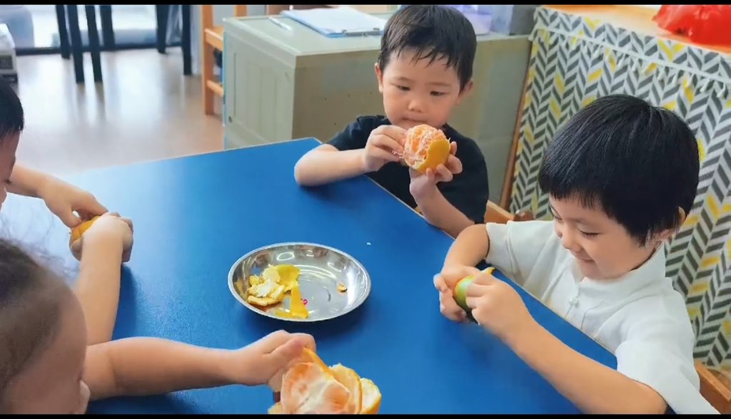 IMG_20250923_170006.jpg IMG_20250923_170006.jpg