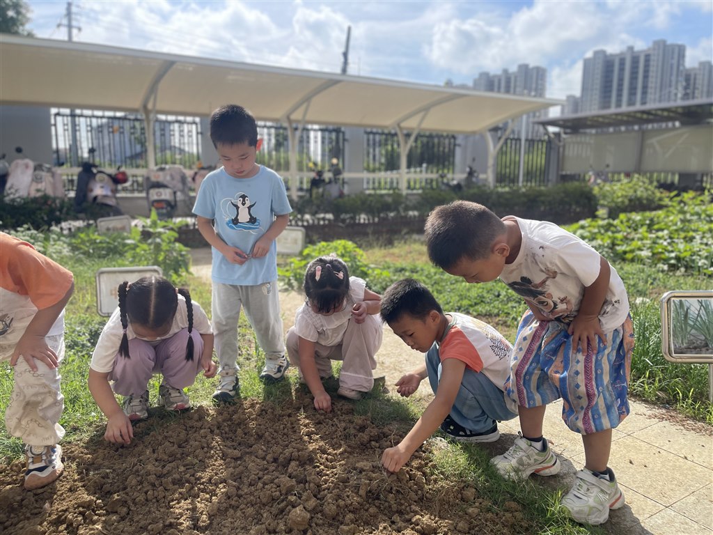 IMG_9895.JPG IMG_9895.JPG