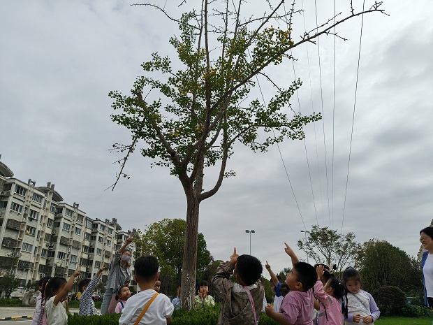 IMG20251017094908.jpg