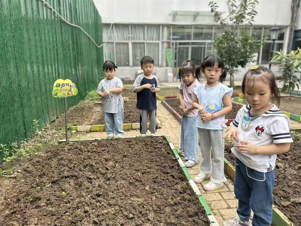 微信图片_20251021101132_14_12.jpg 微信图片_20251021101132_14_12.jpg