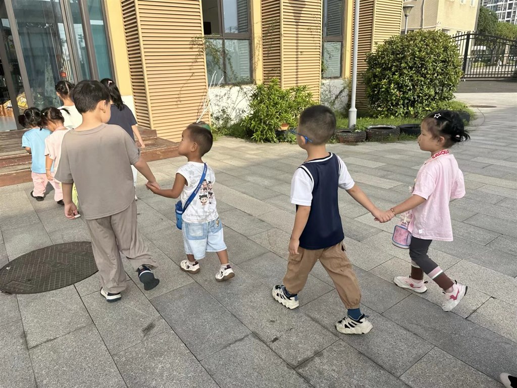 Image_1760148550029.jpg Image_1760148550029.jpg