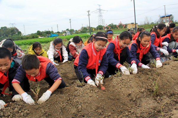 IMG_2988.JPG IMG_2988.JPG