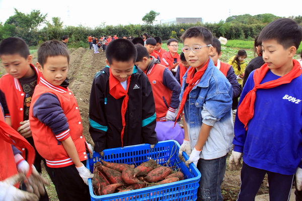 IMG_3001.JPG IMG_3001.JPG