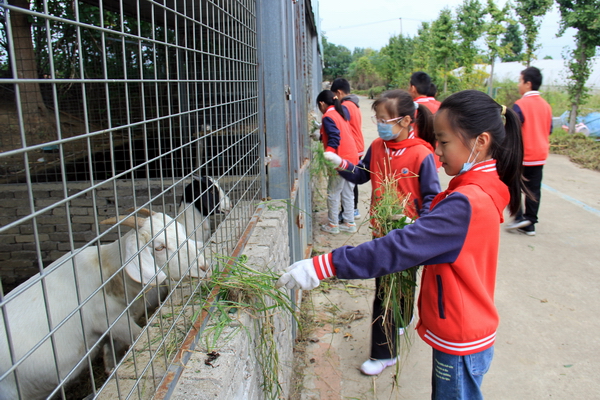 IMG_3079.JPG IMG_3079.JPG