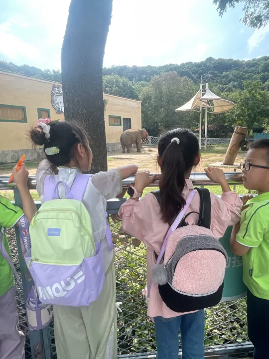 95560f9e73184348ad860691a1eab568.png 95560f9e73184348ad860691a1eab568.png