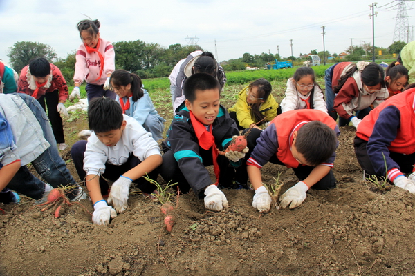 IMG_2990.JPG IMG_2990.JPG