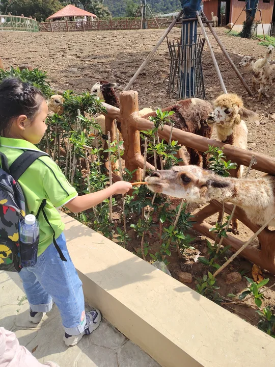 4086dd7c801b4069a2b9a43f3f679382.png 4086dd7c801b4069a2b9a43f3f679382.png