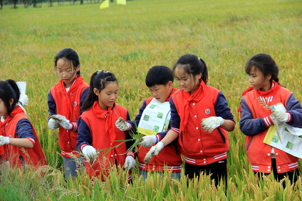 IMG_3059.JPG IMG_3059.JPG