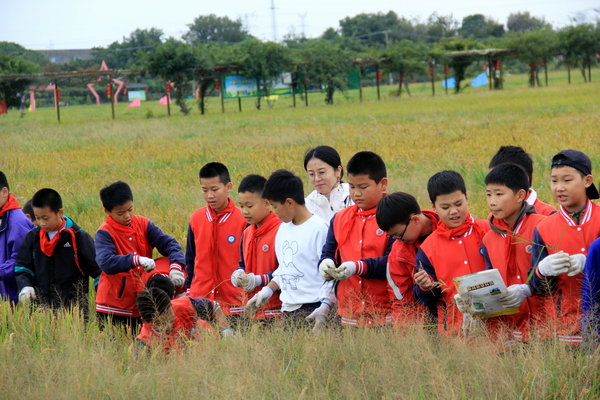 IMG_3050.JPG IMG_3050.JPG