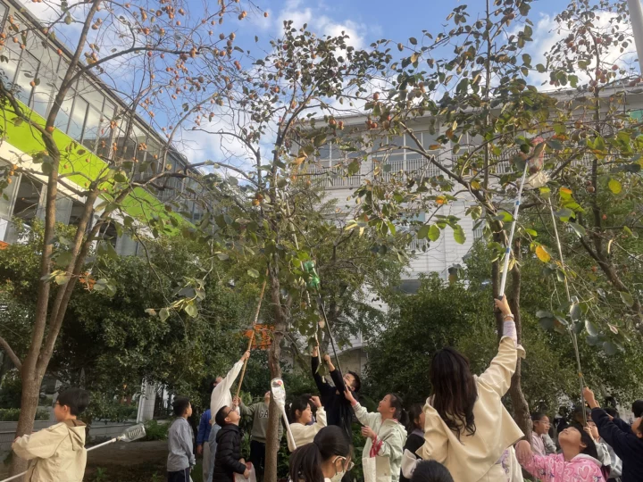 c490bead32ce415583aa4eb067e60c57.png c490bead32ce415583aa4eb067e60c57.png