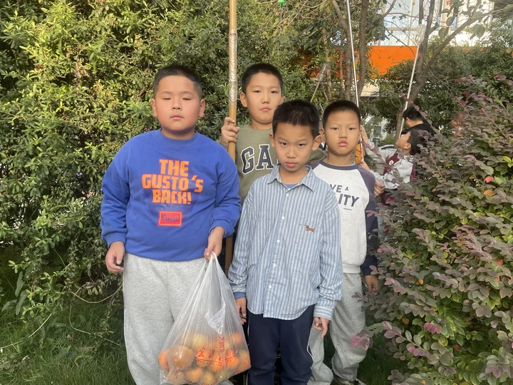 2569b6e6ad99406182172ca0824e8761.png 2569b6e6ad99406182172ca0824e8761.png