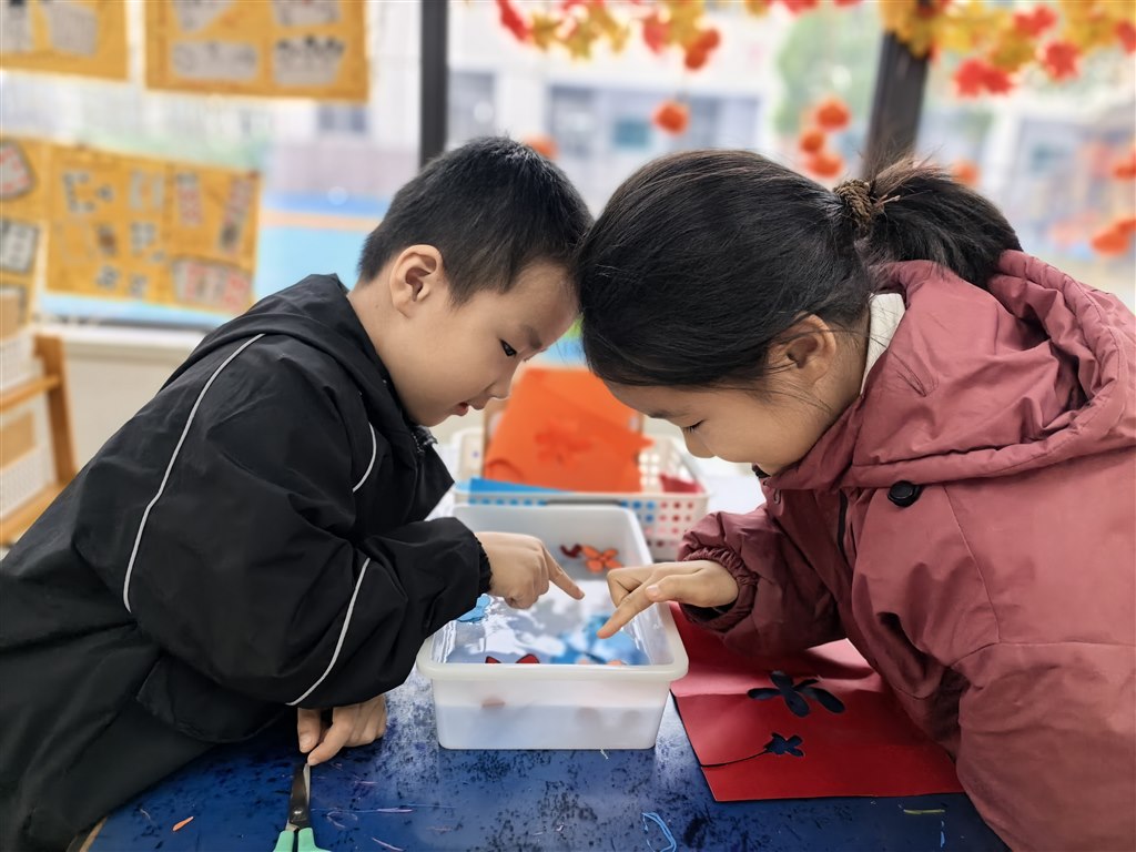 IMG_20251021_102259.jpg IMG_20251021_102259.jpg