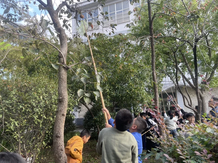 0745c1754bee437ea2579f5a557c6916.png 0745c1754bee437ea2579f5a557c6916.png