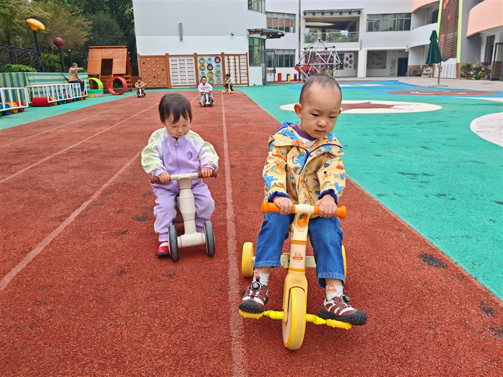 IMG_20251020_093337.jpg IMG_20251020_093337.jpg