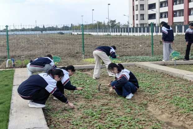 EF6F2EE1D1FC334D9250735C0B8BF95C_副本.jpg EF6F2EE1D1FC334D9250735C0B8BF95C_副本.jpg