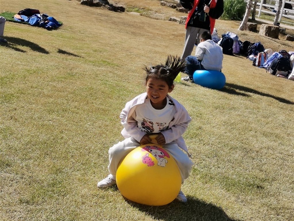 IMG_20251029_130403.jpg