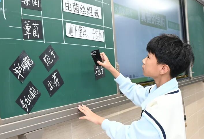 图片2.png 图片2.png
