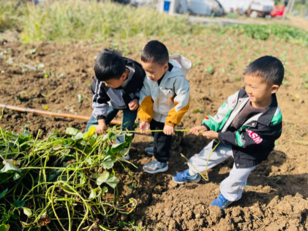 4b09aecbc97820dbf5b340e38d792992_720.png 4b09aecbc97820dbf5b340e38d792992_720.png