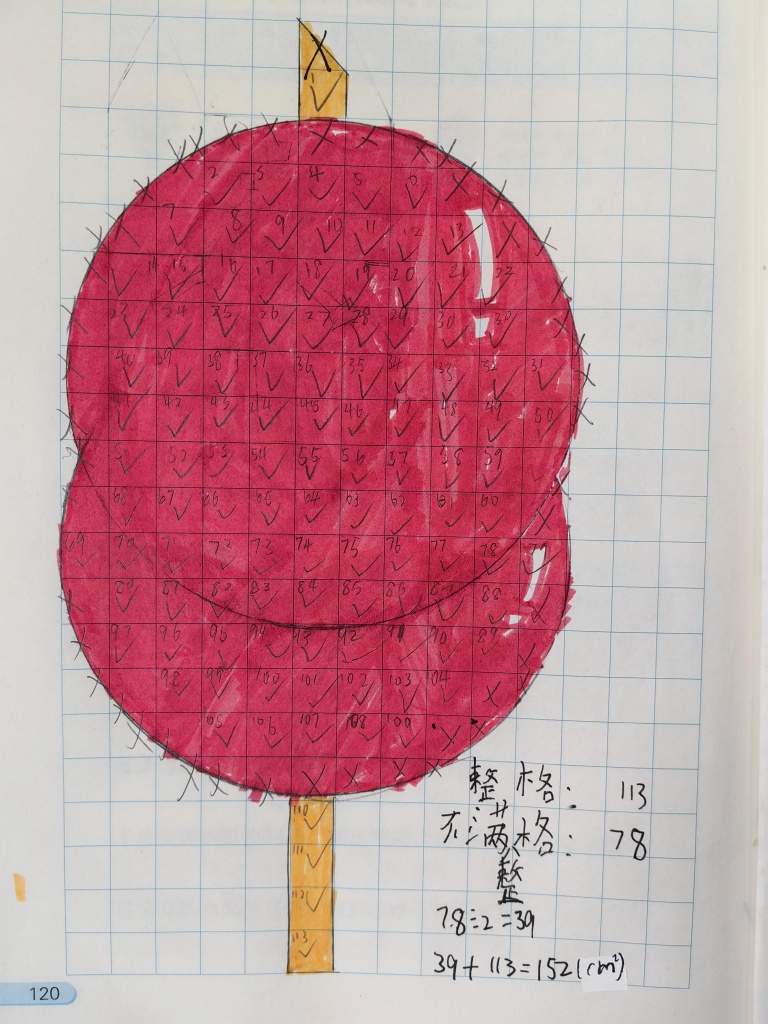 IMG_20251016_135421.jpg IMG_20251016_135421.jpg