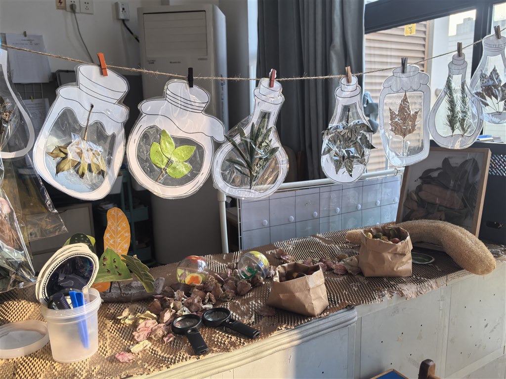 IMG_20251028_075903.jpg IMG_20251028_075903.jpg