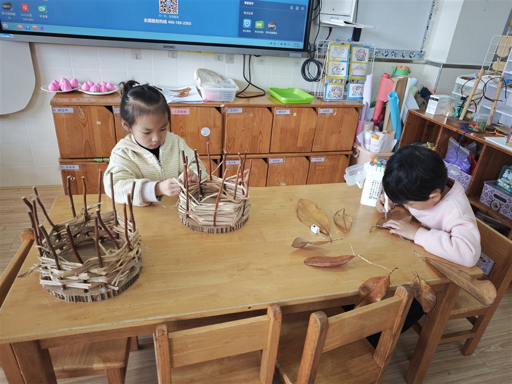 IMG_20251029_101324.jpg IMG_20251029_101324.jpg