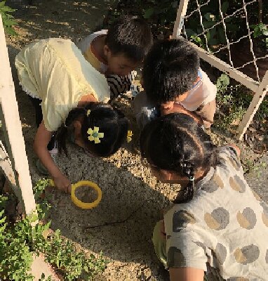 QQ图片20251114134149.jpg QQ图片20251114134149.jpg