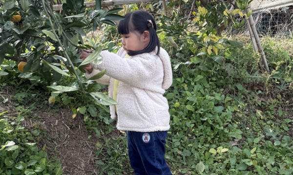 mmexport1761006506035.jpg mmexport1761006506035.jpg