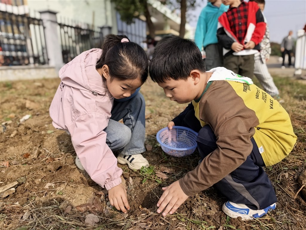 IMG_20251114_095900.jpg IMG_20251114_095900.jpg