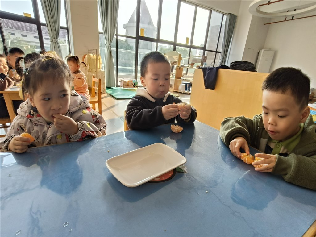 IMG20251113150500.jpg IMG20251113150500.jpg