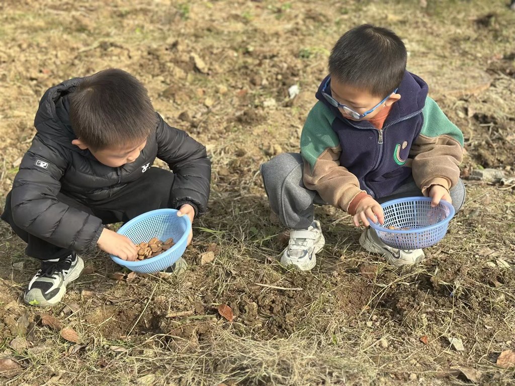 Image_1763532468964.jpg Image_1763532468964.jpg