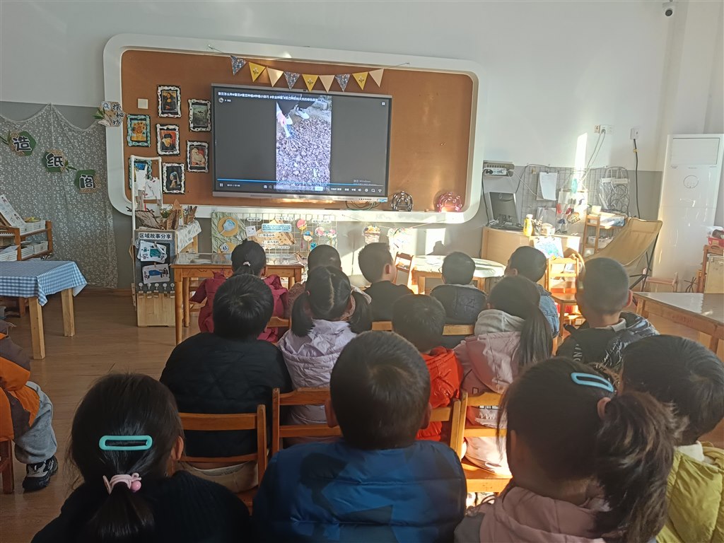 IMG20251119150453.jpg IMG20251119150453.jpg