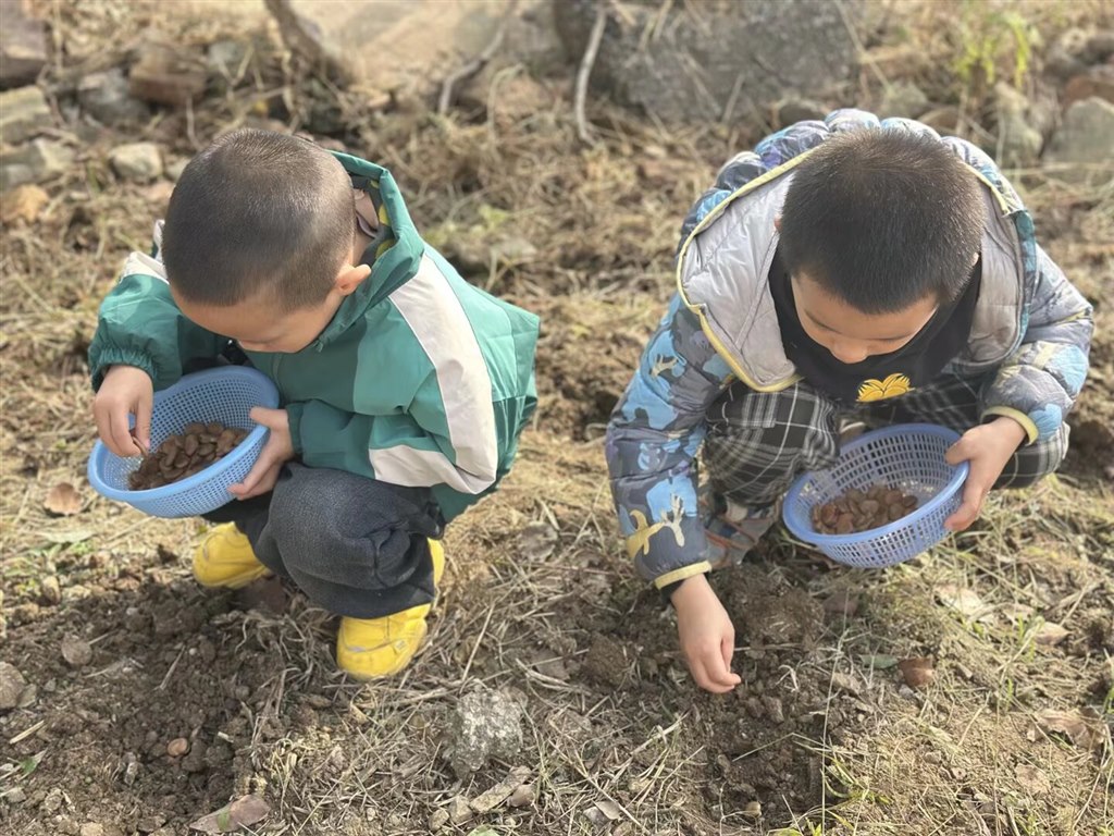 Image_1763532444357.jpg Image_1763532444357.jpg