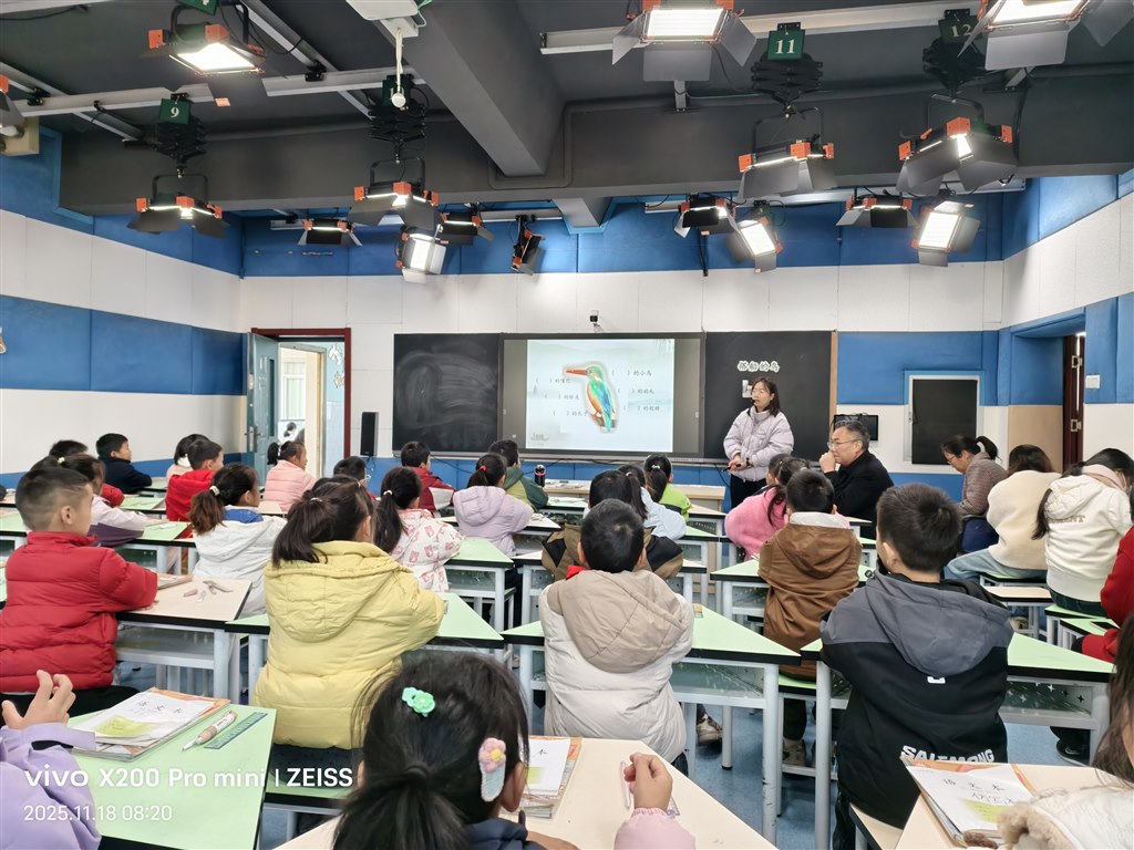 IMG_20251118_082016.jpg IMG_20251118_082016.jpg