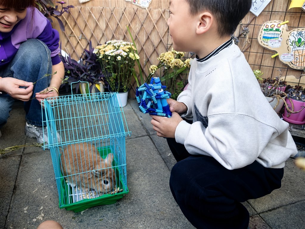 IMG_20251029_081353.jpg IMG_20251029_081353.jpg