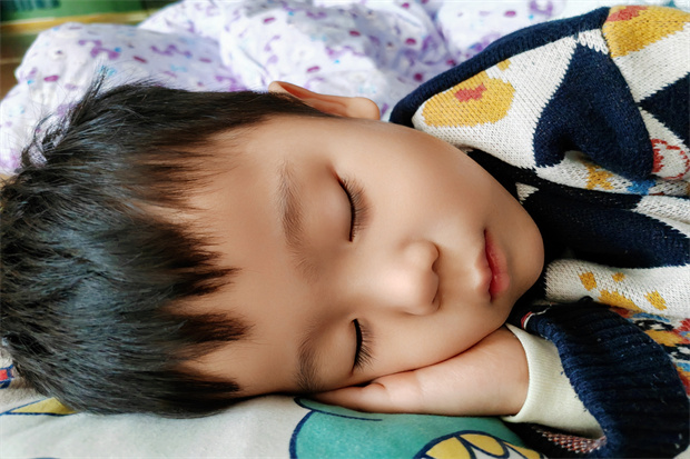 IMG_20251119_124021.jpg IMG_20251119_124021.jpg