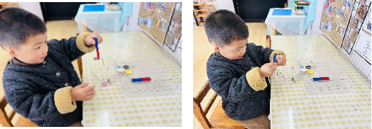 图片1.png 图片1.png