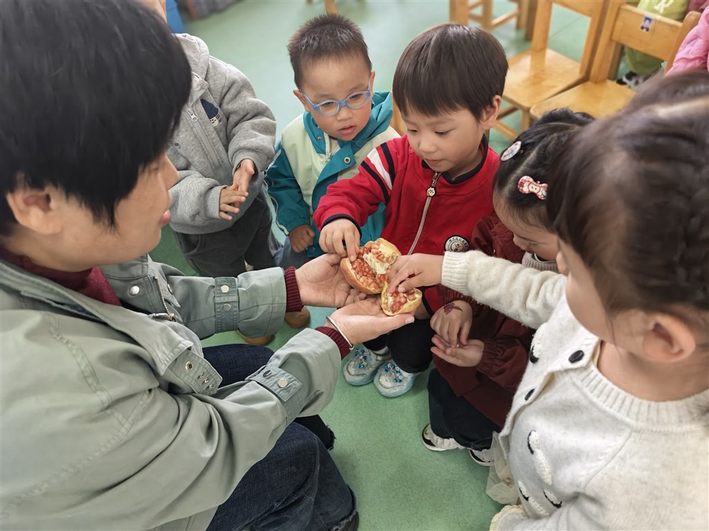 IMG_20251112_161928.jpg IMG_20251112_161928.jpg