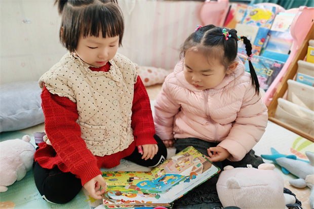 IMG_20251124_090733.jpg IMG_20251124_090733.jpg