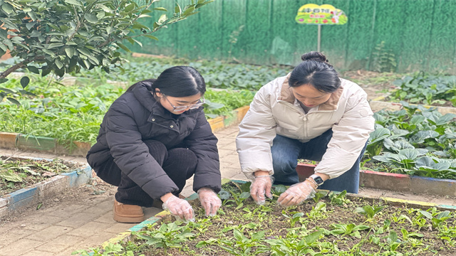 菜园1.JPG 菜园1.JPG