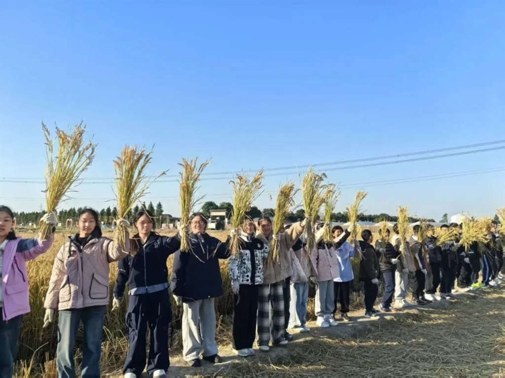 微信图片_20251127092031.jpg 微信图片_20251127092031.jpg