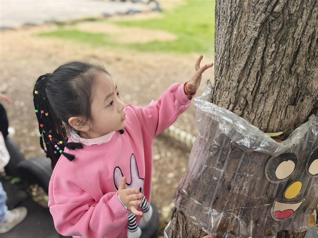 树皮4.png 树皮4.png