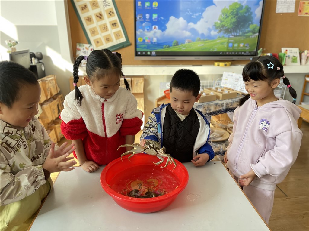 IMG_1842.JPG IMG_1842.JPG